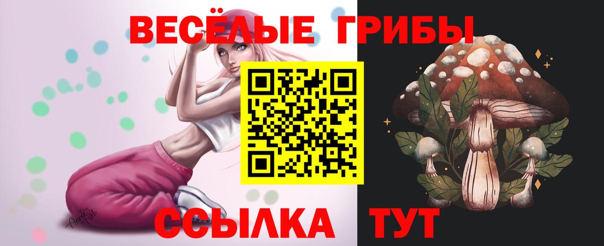 Галлюциногенные грибы прущие грибы  Вход с VPN  Волжский 